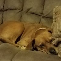 Show me your fur babies!