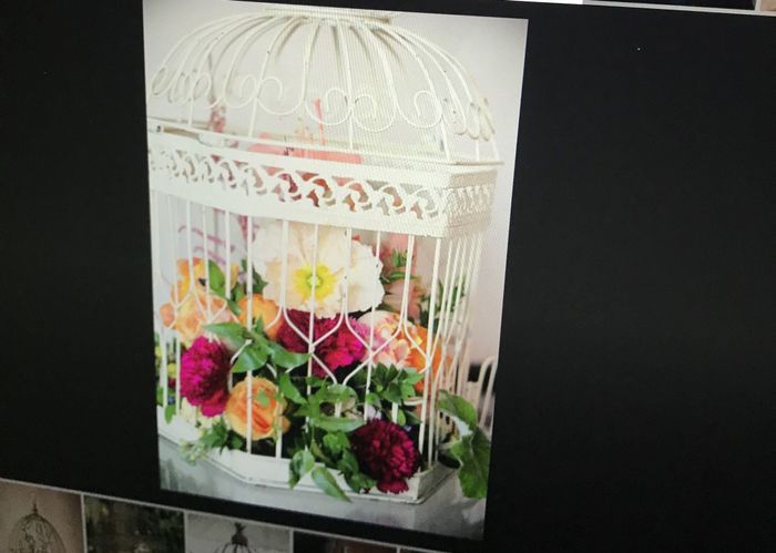 Centerpieces - florists feel free to weigh in