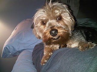 Lets see those pets!!! (NWR)