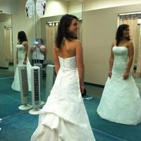 How are the October Brides??