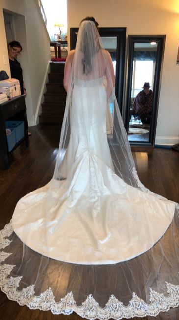 Height and Veil Length help 7