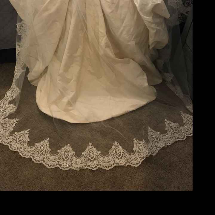 Need help choosing veil color please! - 1