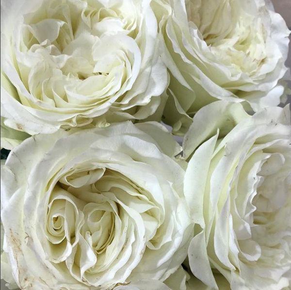 Bridal Bouquet Stress 1