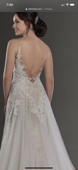 Help my wedding dress is too small - 6