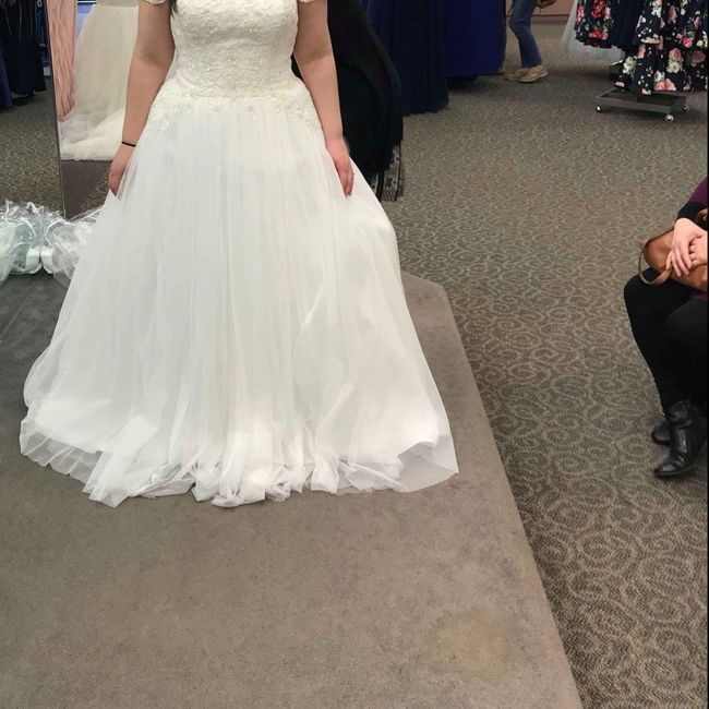 Amount of bustles - David’s bridal 2