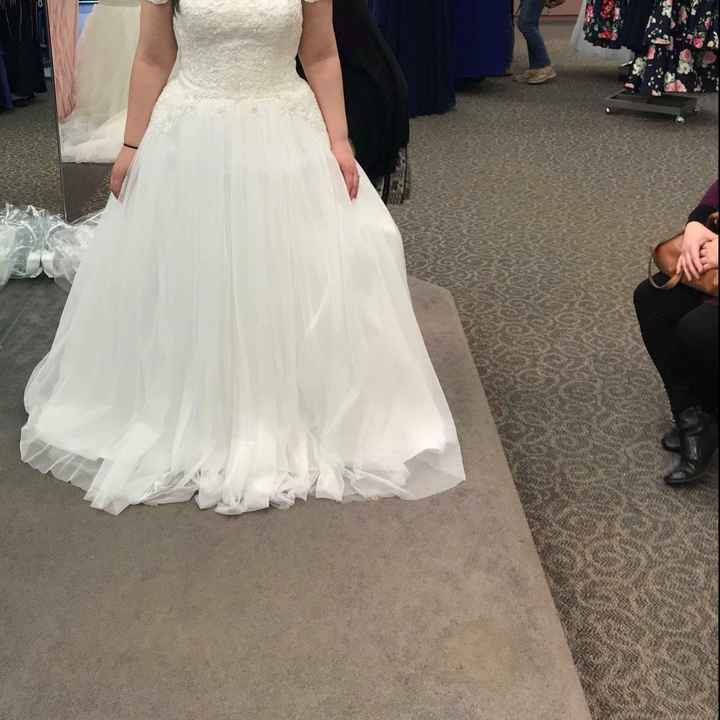 Amount of bustles - David’s bridal - 2
