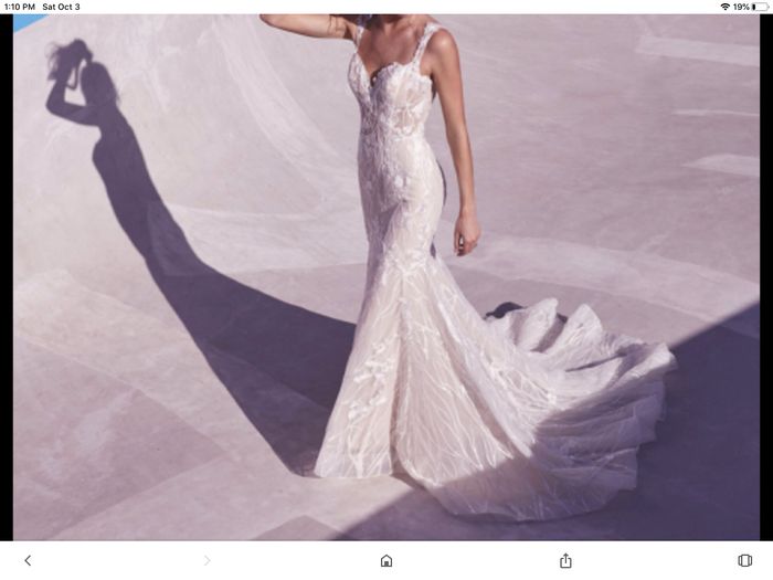 For fun --- dream dress post 7