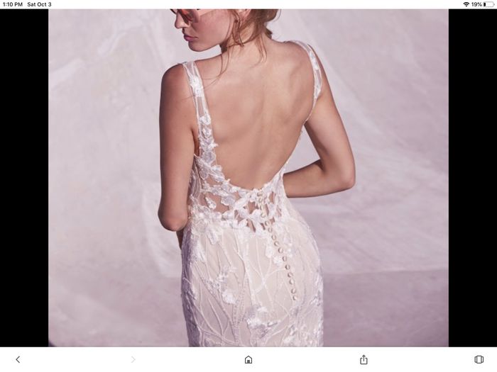 For fun --- dream dress post 9