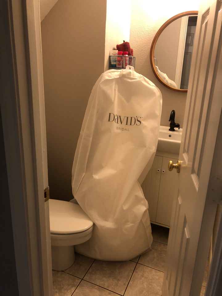 Keep the dress safe! - 1