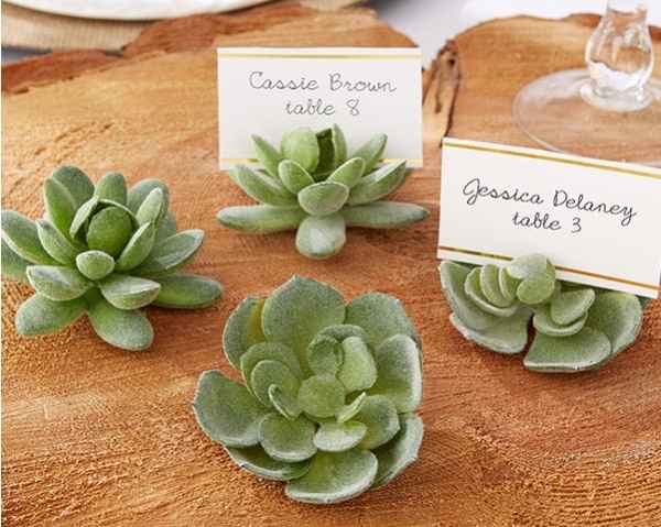 Succulent Favors/Numbers