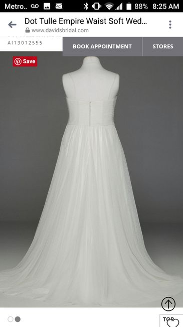 Back view from website