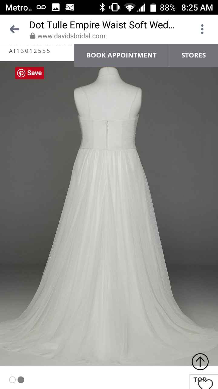 Back view from website