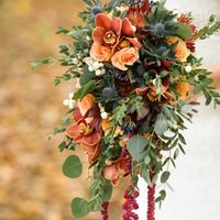 Just Started Bouquet Shopping...Colors Not Chosen Yet