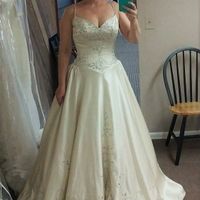 Just Started Bouquet Shopping...Colors Not Chosen Yet