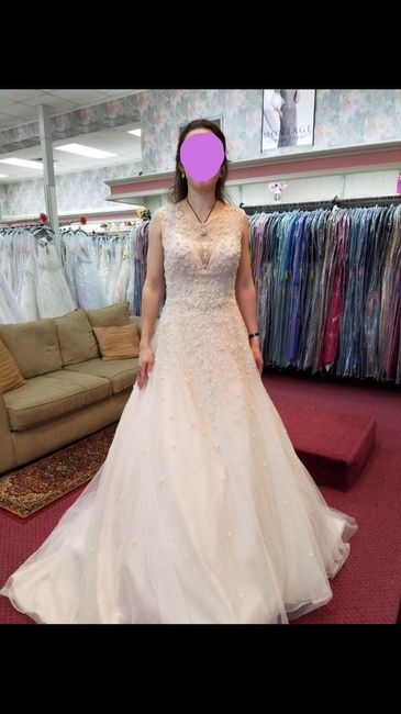 Wedding dress question