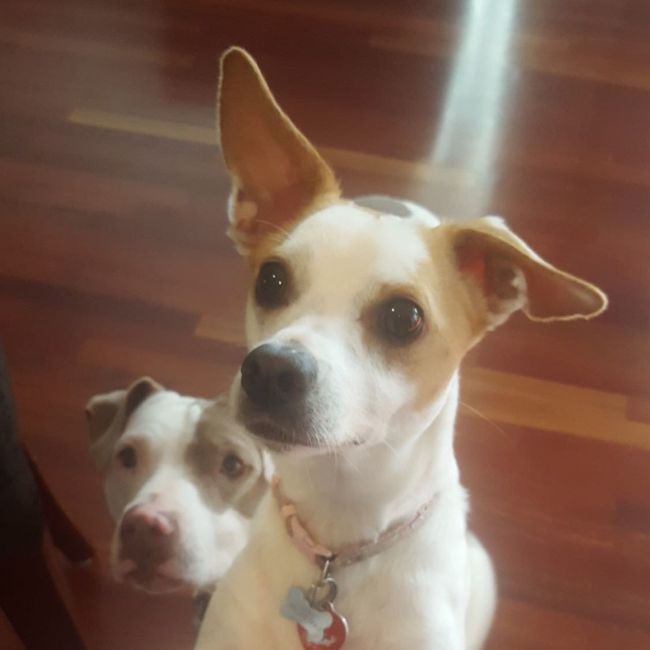 NWR: Shameless pet post!