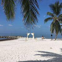 bam 6/23 (non-pro) - 3