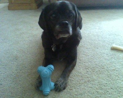 *NWR* Show me your pets/animals! *PICS*