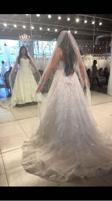 Who went over their dress budget?