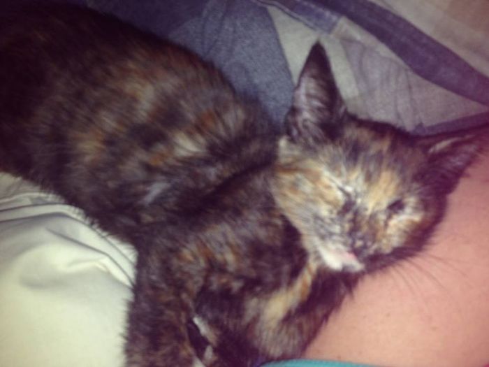 NWR: Tiny new friend!