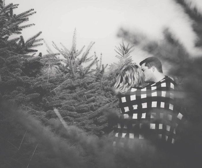 In with the trees