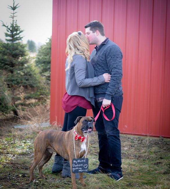 WeddingWire Winter Games: Snowy Engagement Pictures or Snowy Wedding Pics? 1