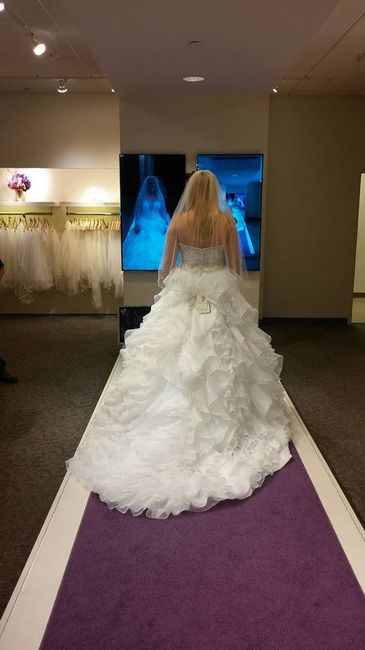 Back of dress