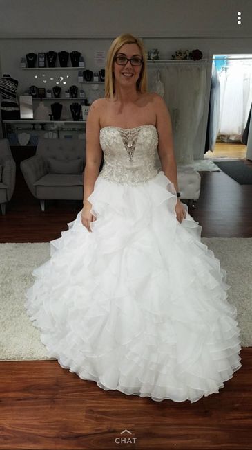 Second Dress Fitting - 2