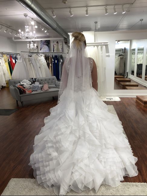 Final Dress Fitting - 3