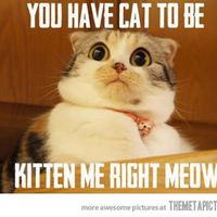 Stupid Meltdown! Words of love needed