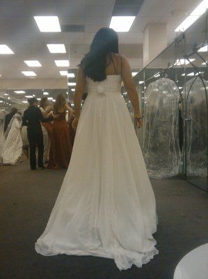 Dilemma: Need Opinions Please!