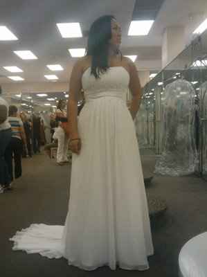 Dilemma: Need Opinions Please!
