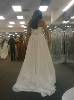 Dilemma: Need Opinions Please!