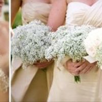 I NEED POINTERS PLEASE