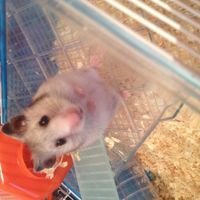 [grumble grumble] Posts asking us to guess