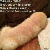 Spread some Happy!!!