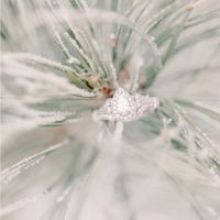Brides of 2022! Show us your ring! - 2