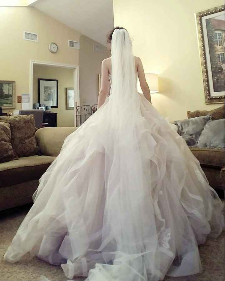 Back/Veil 