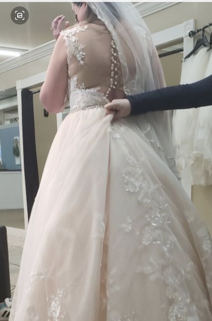 Dress help! - 1