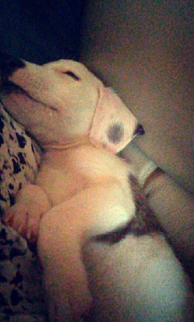 KWR-sharing some cuteness today.
