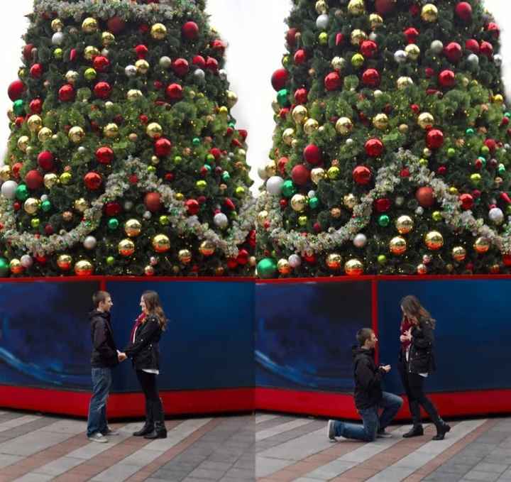 Proposal