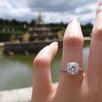 Option 1: Cushion halo 