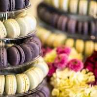  Alls Da Allergies - 1