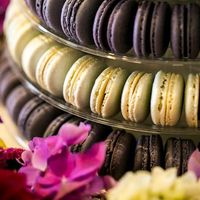  Alls Da Allergies - 2