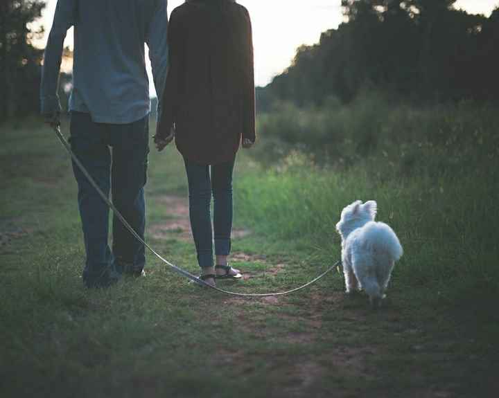 Having your pet in the engagement photos?