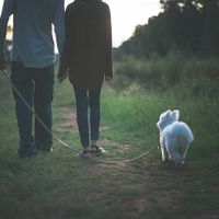 Having your pet in the engagement photos?