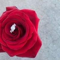 2023 Brides - Show us your ring! - 1