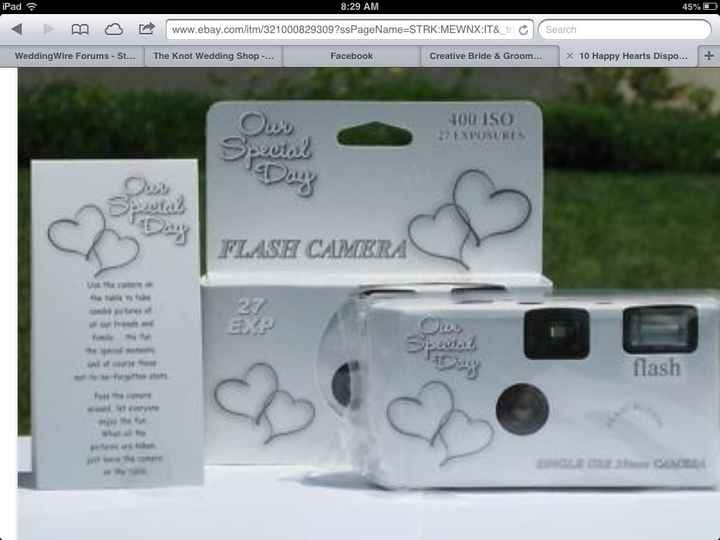 Disposable cameras!? Help please!