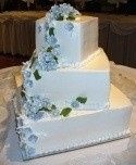 Cake decided and booked.... Share yours