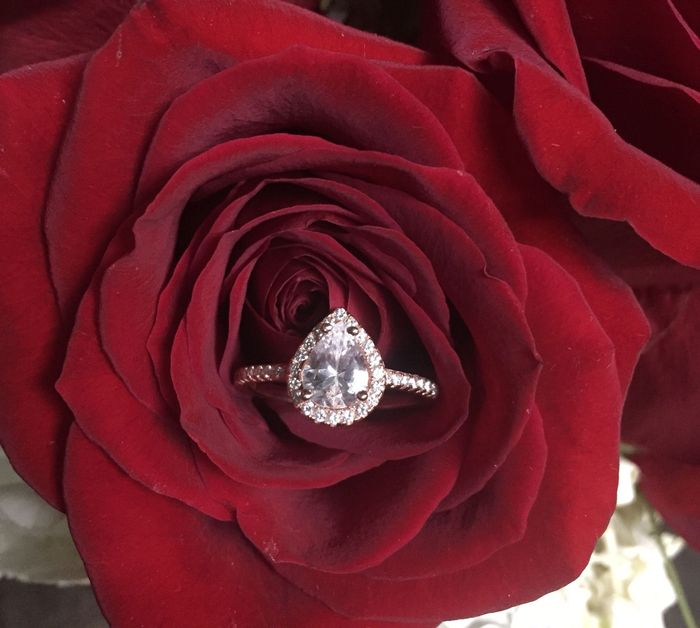 Let me see your rings!